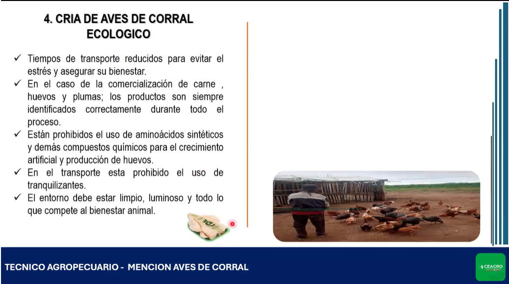 MANEJO INTEGRAL DE AVES DE CORRAL